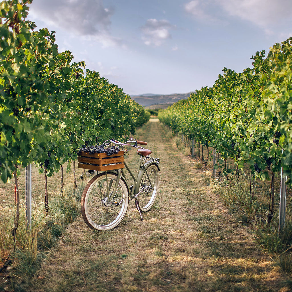 An Interview with Capurso Wine