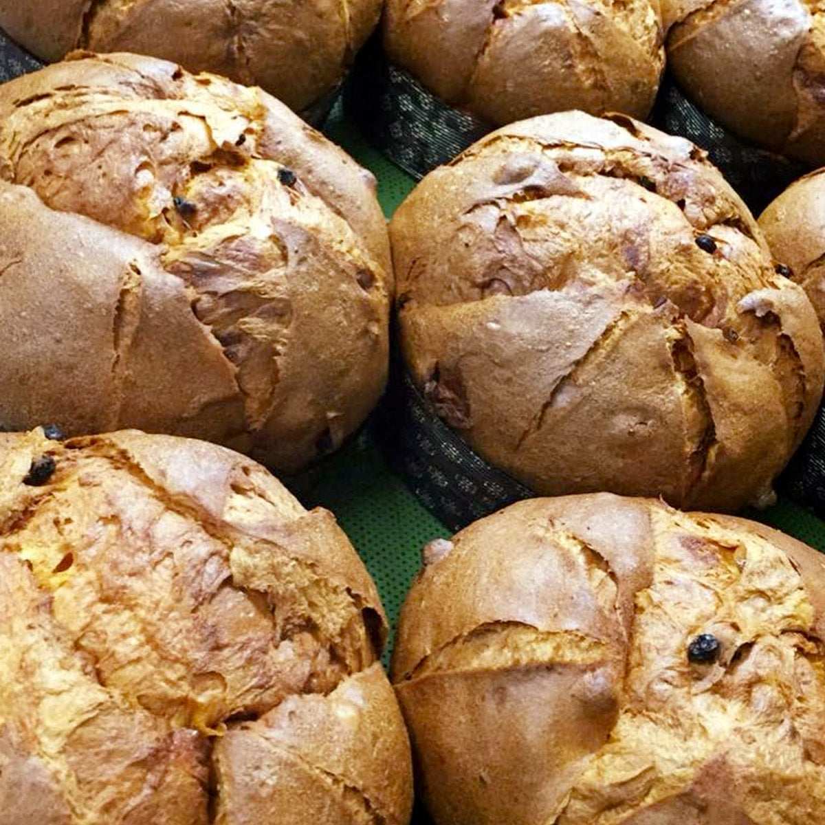 Panettone classique artisanal, gâteau de Noël italien - Bertolini