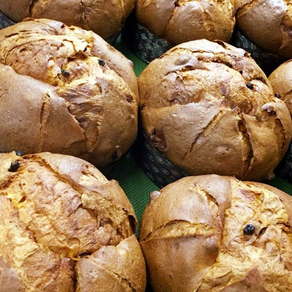 Traditional Artisan Panettone - Molinari - PepeGusto